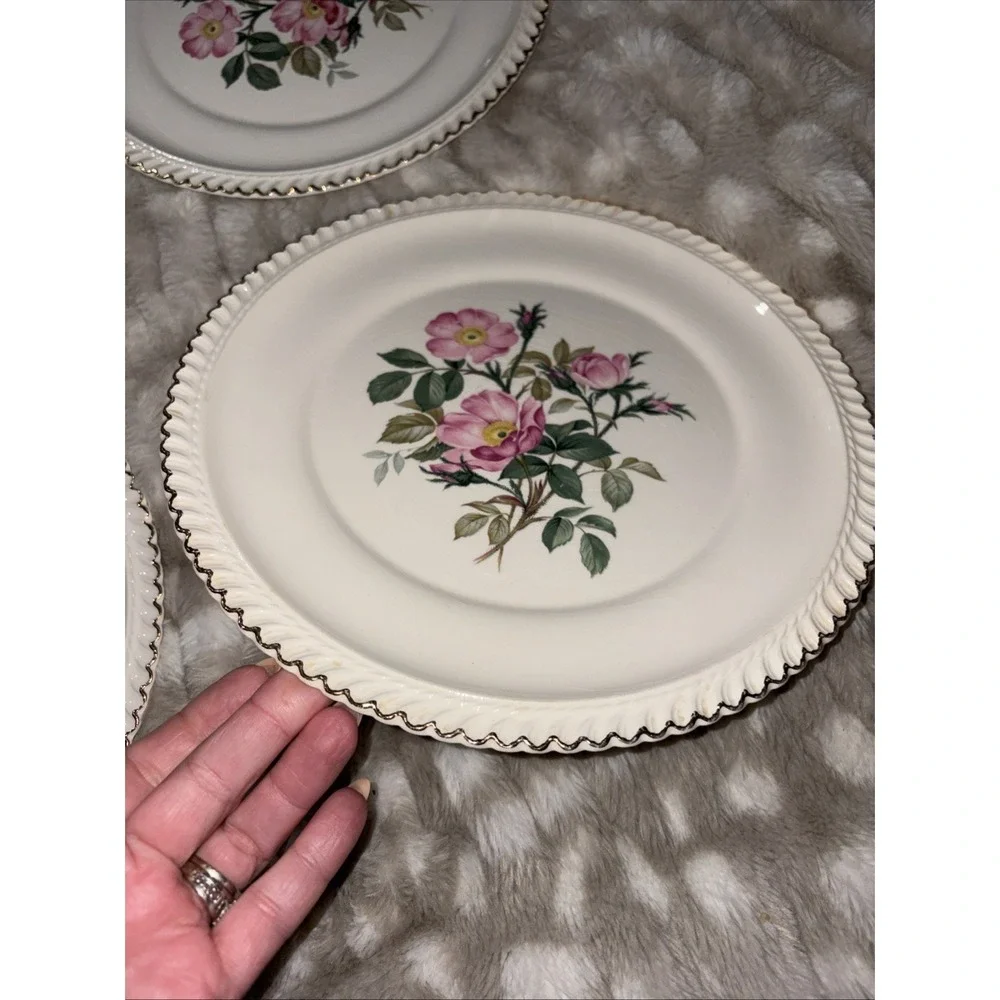 Harker Pottery Co. 22 kt gold  Wild Rose (Royal Gadroon) Dinner Plate Lot Of 6